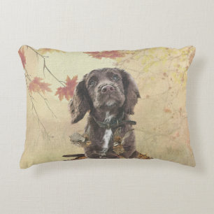 Chocolate cocker spaniel puppy     accent pillow