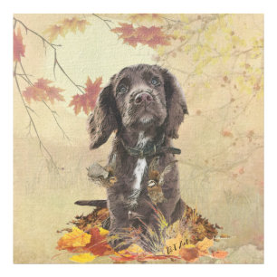 Chocolate cocker spaniel puppy photo print