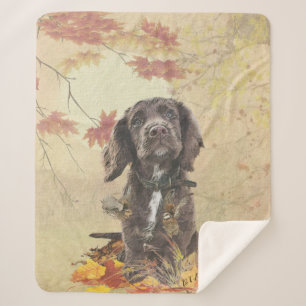 Chocolate cocker spaniel puppy   sherpa blanket