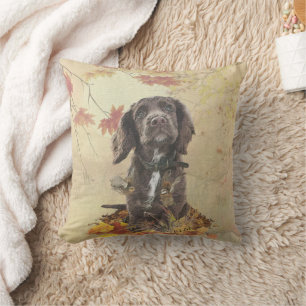 Chocolate cocker spaniel puppy       throw pillow