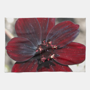 Chocolate Cosmos Flower Kitchen Towel
