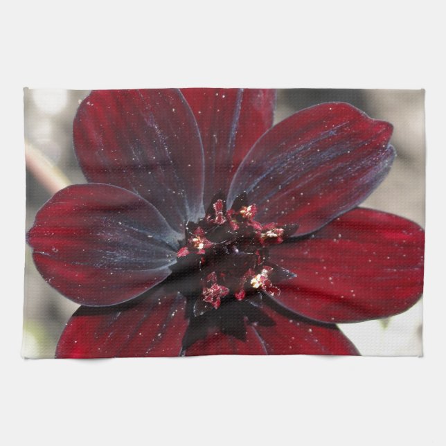 Chocolate Cosmos Flower Kitchen Towel (Horizontal)