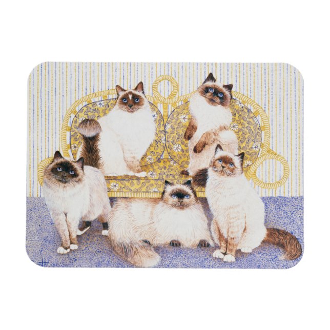 Chocolate creams magnet (Horizontal)