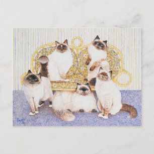 Chocolate creams postcard