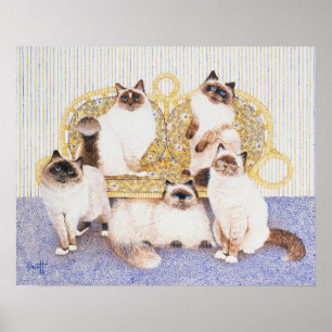 Chocolate creams poster
