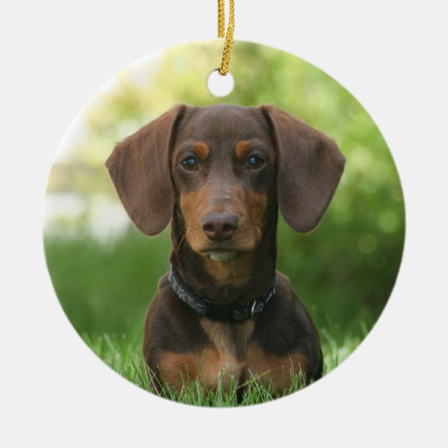 Chocolate Dachshund Doxie Dog Ceramic Ornament (Front)