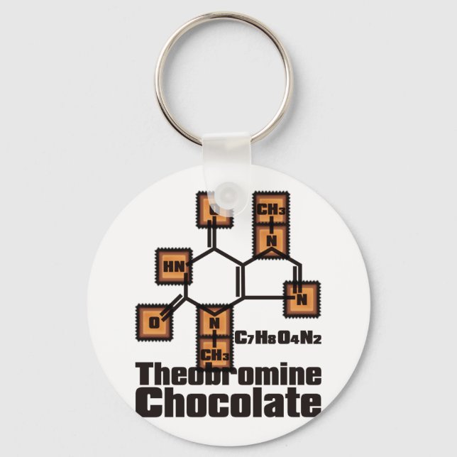 Chocolate Keychain (Front)
