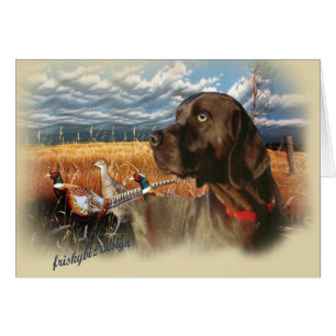 Chocolate Lab A Day Hunting