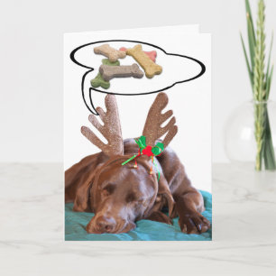 Chocolate Lab Antlers Treats Photo Personalized Holiday Card