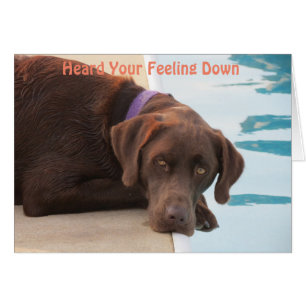 Chocolate Lab Care & Concern Card