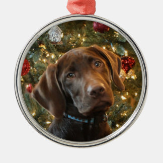 Chocolate Lab Christmas Ornament