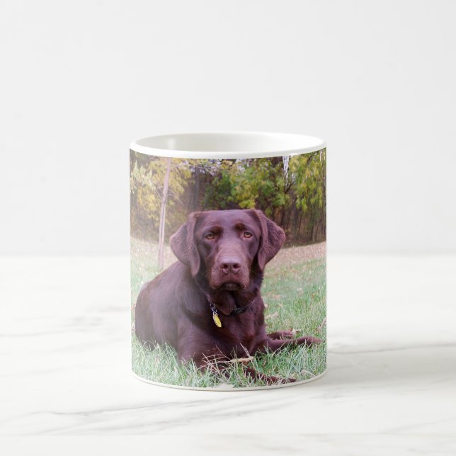 Chocolate Lab Coffee Mug (Center)