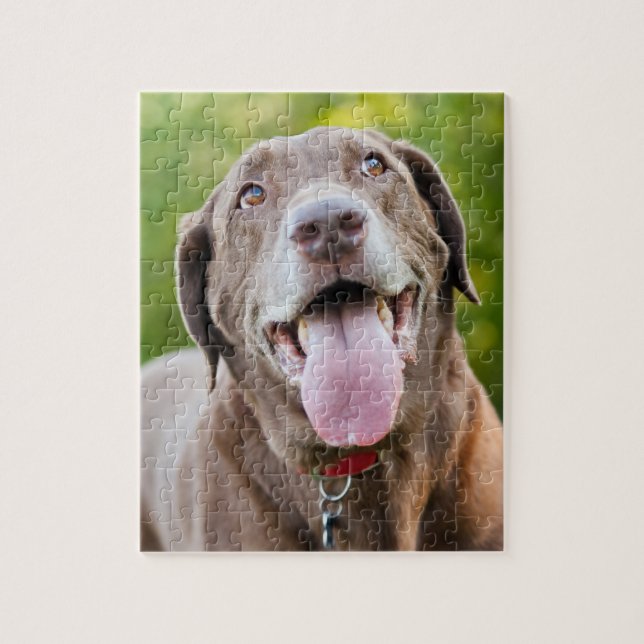 Chocolate Lab Dog Jigsaw Puzzle (Vertical)