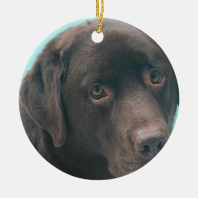 Chocolate Lab Dog Ornaments (Front)