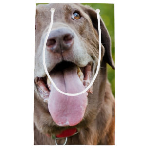 Chocolate Lab Dog Small Gift Bag