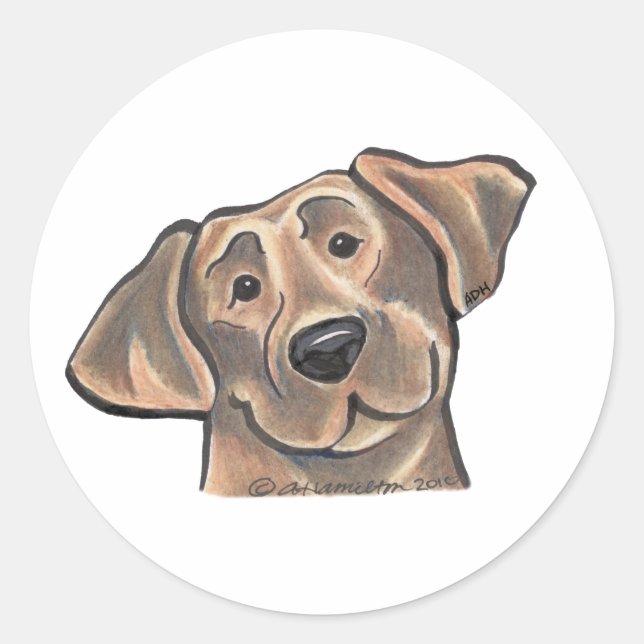 Chocolate Lab Face Classic Round Sticker (Front)