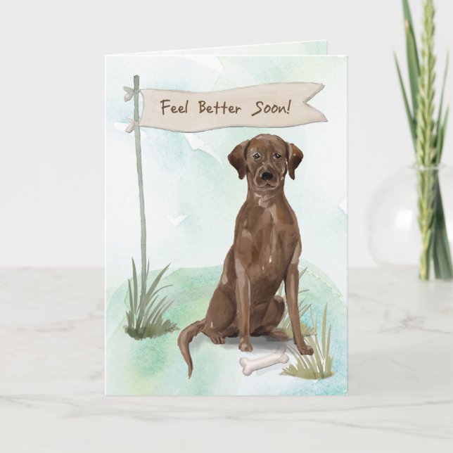 Chocolate Lab Feel Better After Surgery to Dog Card (Front)