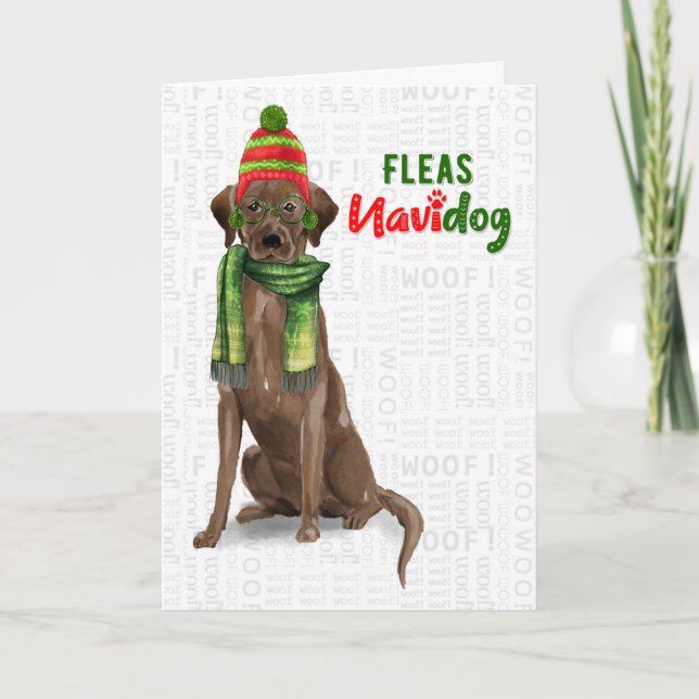 Chocolate Lab Funny Fleas Navidog Christmas Holiday Card (Front)