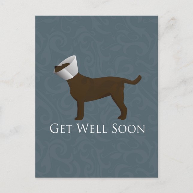 Chocolate Lab Get Well Soon Design Postcard (Front)