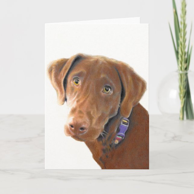 Chocolate Lab greeting card, dog card, retriever Card (Front)