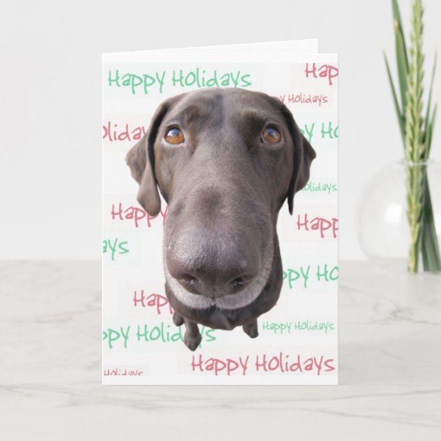 Chocolate Lab Holiday Card (Front)