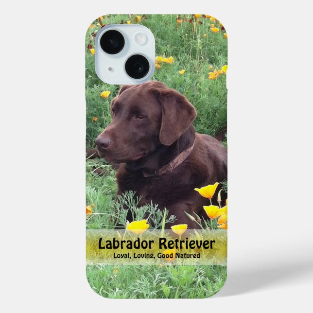 Chocolate Lab in California Poppy Patch Case-Mate iPhone Case (Back)