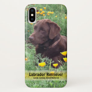 Chocolate Lab in California Poppy Patch Case-Mate iPhone Case