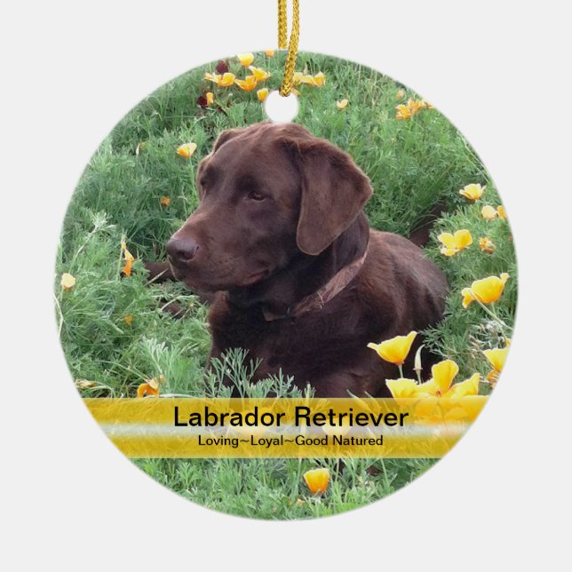 Chocolate Lab in California Poppy Patch Ceramic Ornament (Front)