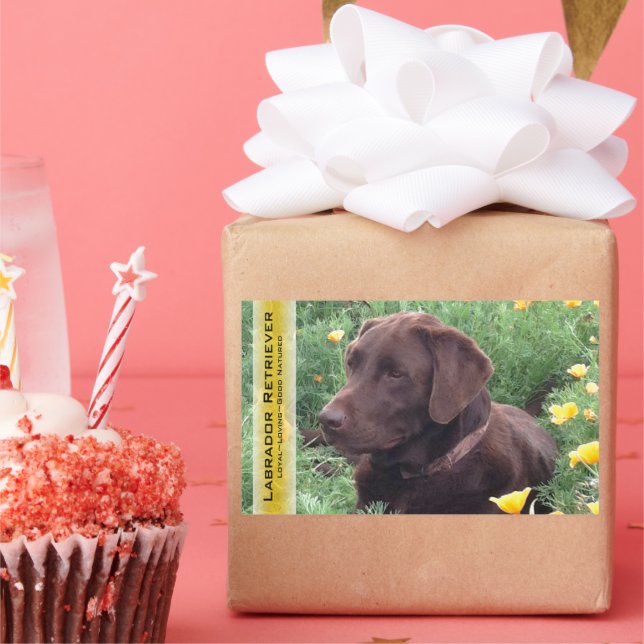 Chocolate Lab in California Poppy Patch Custom Sticker (Party)
