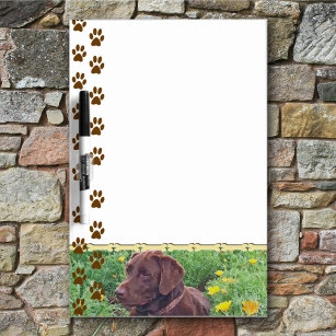 Chocolate Lab in California Poppy Patch Dry Erase Board