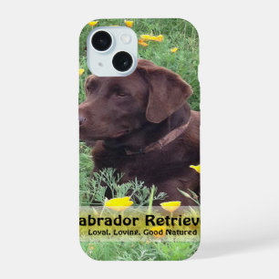 Chocolate Lab in California Poppy Patch iPhone 15 Case
