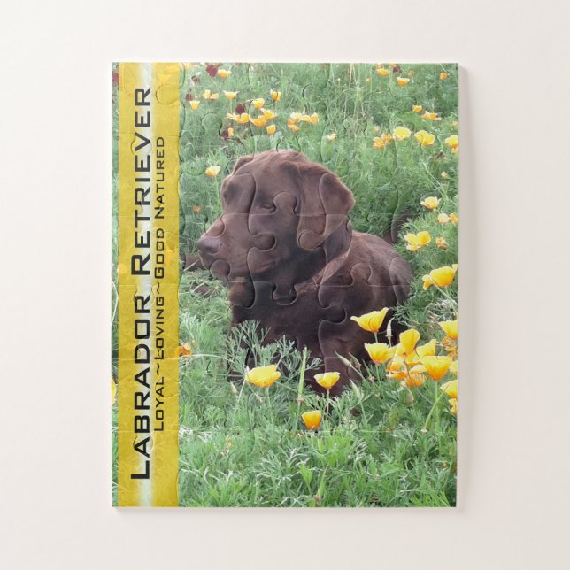 Chocolate Lab in California Poppy Patch Jigsaw Puzzle (Vertical)