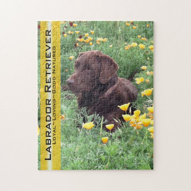 Chocolate Lab in California Poppy Patch Jigsaw Puzzle (Vertical)