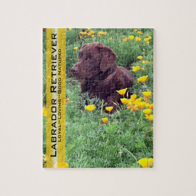 Chocolate Lab in California Poppy Patch Jigsaw Puzzle (Vertical)