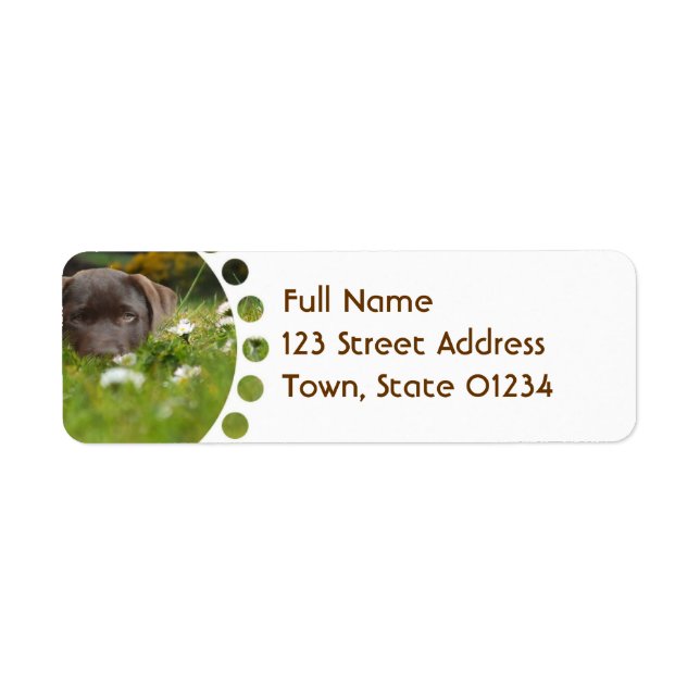 Chocolate Lab in Daisies  Mailing Labels (Front)