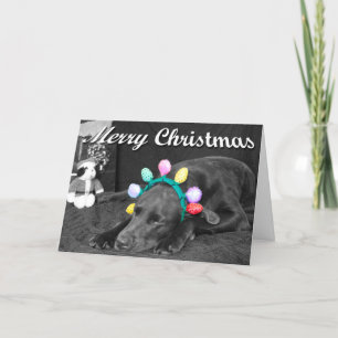 Chocolate Lab In Headband Photo Custom Text Inside Holiday Card