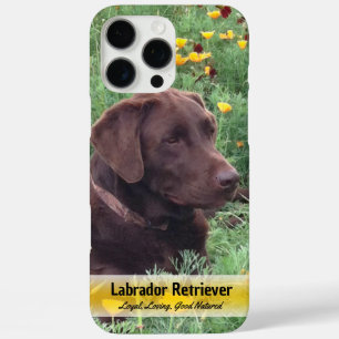 Chocolate Lab in Poppy Patch Placeholder Photo iPhone 16 Pro Max Case