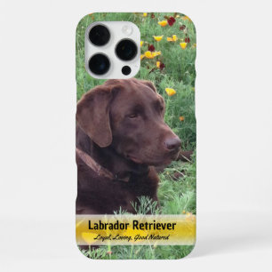 Chocolate Lab in Poppy Patch Placeholder Photo iPhone 16 Pro Max Case