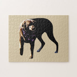Chocolate Lab Jigsaw Puzzle