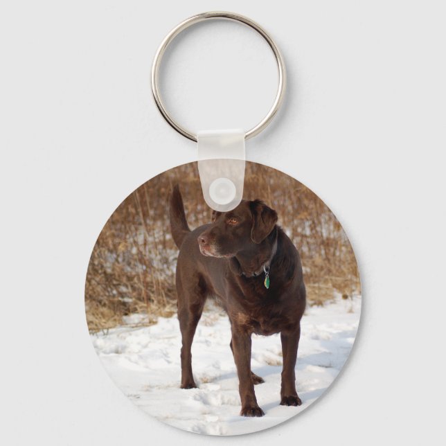 Chocolate Lab Keychain (Front)