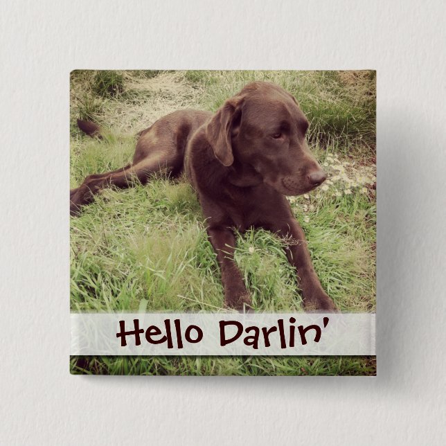 Chocolate Lab Lying In Grass Photograph 2 Inch Square Button (Front)