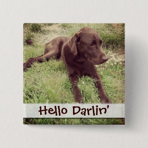 Chocolate Lab Lying In Grass Photograph 2 Inch Square Button