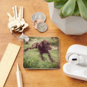 Chocolate Lab Lying In Grass Photograph Keychain