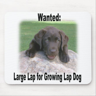 Chocolate Lab Mouse Pad
