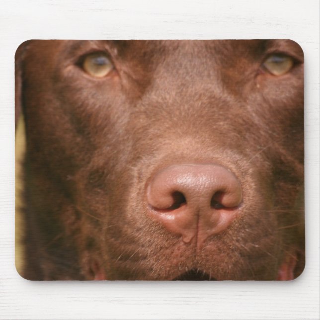 Chocolate Lab Mouse Pad (Front)