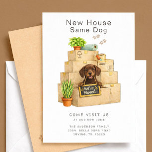Chocolate Lab New House Moving Announcement