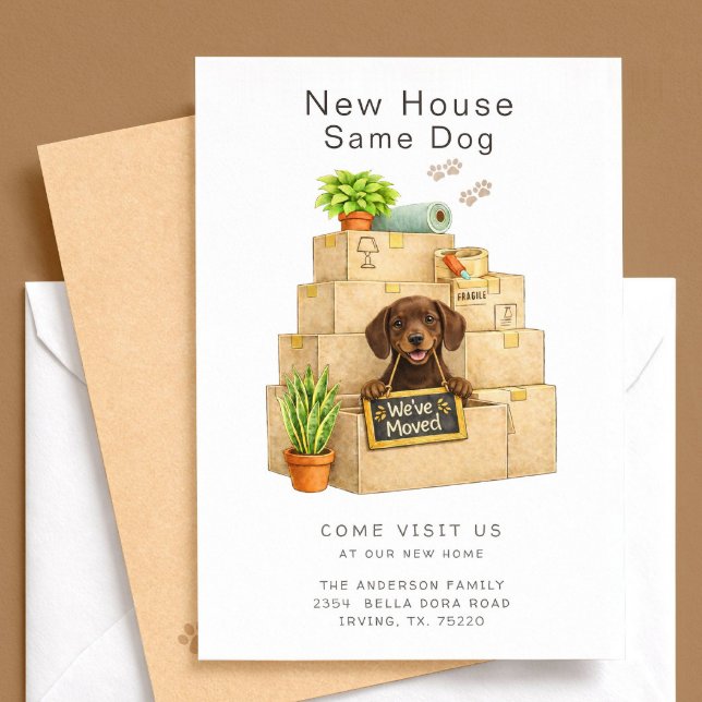 Chocolate Lab New House Moving Announcement (Creator Uploaded)