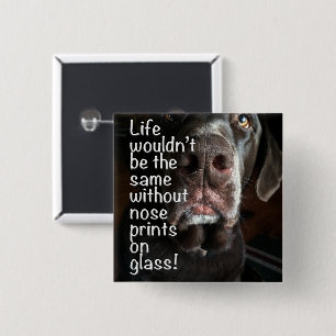 Chocolate Lab Nose Close Up Photograph 2 Inch Square Button