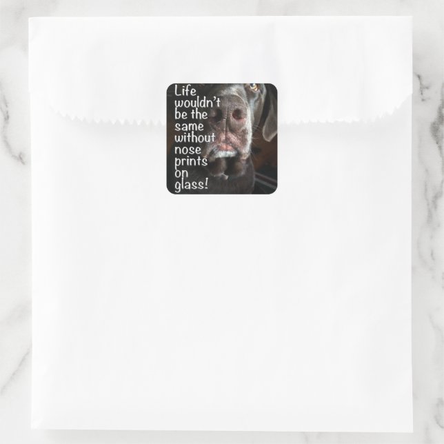 Chocolate Lab Nose Close Up Photograph Square Sticker (Bag)