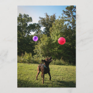 Chocolate Lab Party Invitation